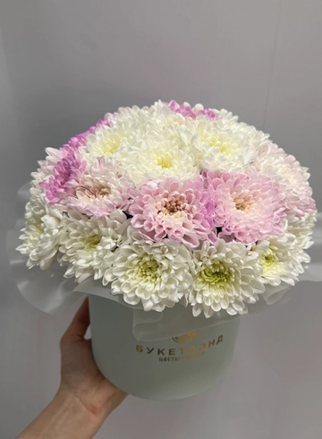 Композиция в шляпной коробке из хризантем &laquo;Эффи&raquo; от интернет-магазина цветов в 