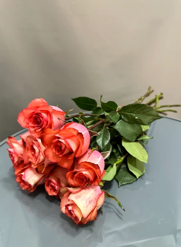 Роза Эквадор 60 см сорт Iguana (поштучно) от интернет-магазина цветов в 