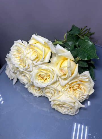 Роза Эквадор 60 см сорт Candlelight (поштучно) от интернет-магазина цветов в 