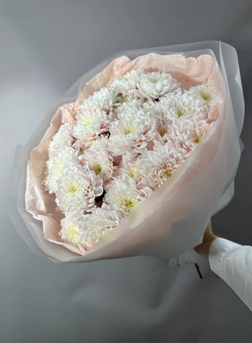 Букет из 5 хризантем &laquo;Ваниль&raquo; от интернет-магазина цветов в 