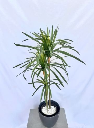 Драцена искусственная в кашпо  от интернет-магазина цветов в 