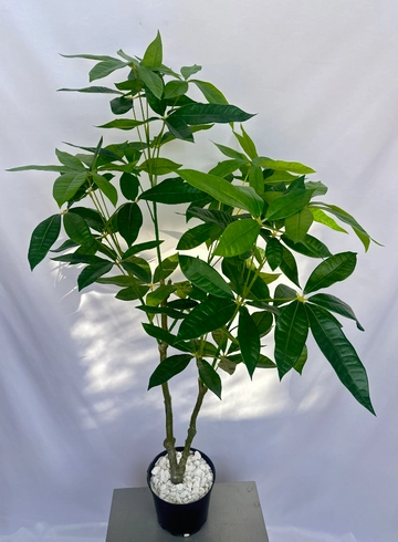 Фатсия искусственная  от интернет-магазина цветов в 